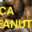 Inca Peanut